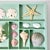 Vintage Coastal Boho Chic Seashell Collection, Sage Divided Shadowbox Decorative Object For Sale - Image 4 of 9