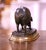 19th Century French Patinated Bronze Pig Sculpture Signed Jules Moigniez For Sale - Image 9 of 12