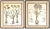 Basilius Besler Botanical Engravings - a Pair For Sale - Image 13 of 13