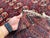 Antique Mori Gul Bokhara Hand-Knotted Wool Rug - 4'6" X 3'8" For Sale - Image 12 of 13