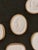 Antique White Antique Italian Grand Tour Plaster Intaglios - Set of 6 (Group #6) For Sale - Image 8 of 14
