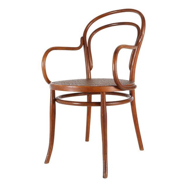 Vintage Armchair in Bentwood with Canework, 1950 For Sale