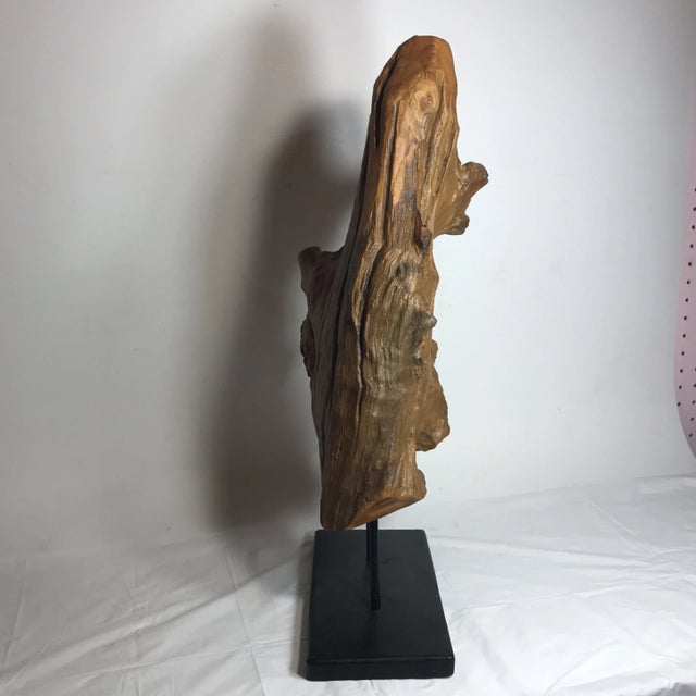 Driftwood Adornment Decor For Sale - Image 5 of 7