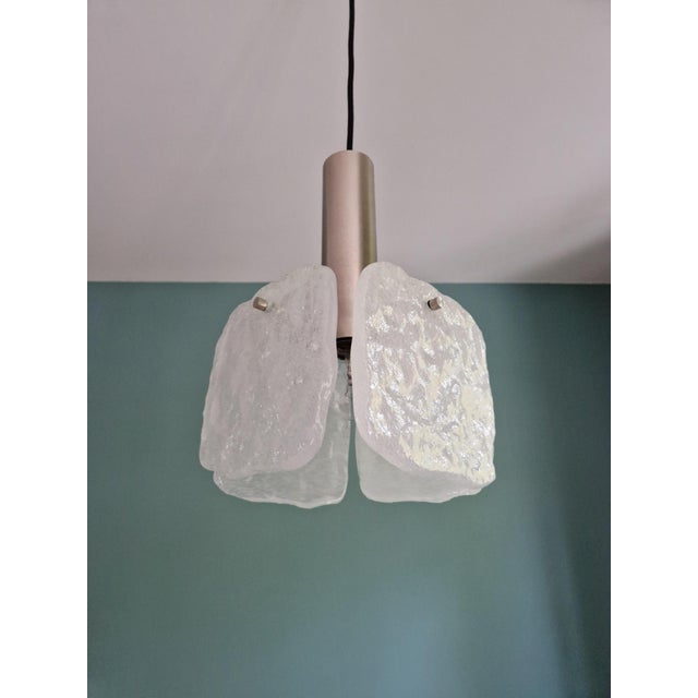 Frosted Glass Pendant Light by J. T. Kalmar for Kalmar Franken KG, 1970 For Sale - Image 10 of 16
