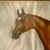 Vintage Realist Original Oil on Paper Painting “Captain Flash” Signed For Sale In West Palm - Image 6 of 13