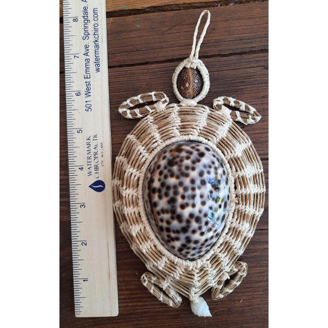 Shell Turtle Cowrie Seashell Figurine Wall Art For Sale - Image 7 of 8