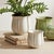 Kenneth Ludwig Chicago Allison Pot Small For Sale - Image 4 of 4