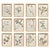 1893 Herbarium Botanical Specimens, Set of 12 For Sale - Image 18 of 18
