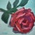 Impressionist "Being Single" Original Floral Still Life Acrylic Painting by Linda McDonough For Sale - Image 3 of 10