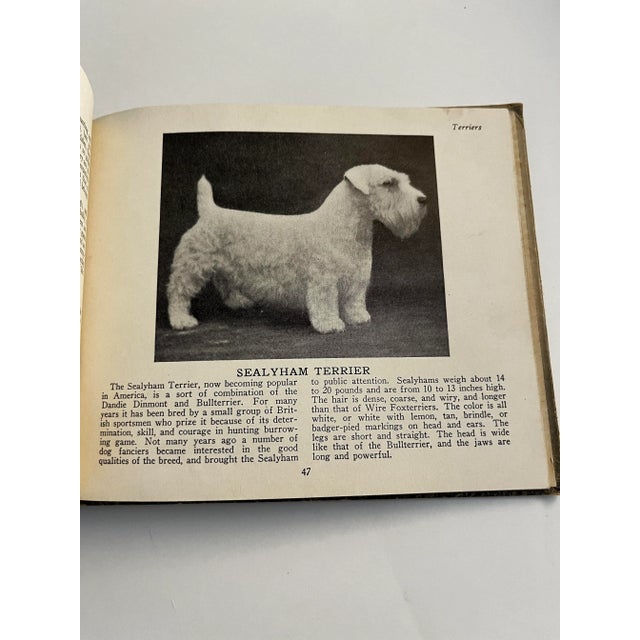 Paper 1934 the Book of Dogs For Sale - Image 7 of 12