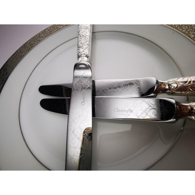 Christofle Silver-Plated Garden of Eden Cutlery Service for 12 from Christofle et Cardeilhac, Set of 100 For Sale - Image 7 of 18