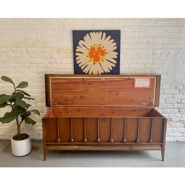1960s Mid Century Modern Sculptural Cedar Chest by Lane Chairish