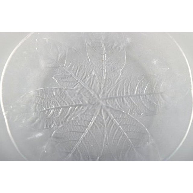 Orrefors Art Glass Set Decorated with Leaves from Orrefors, 1980s, Set of 13 For Sale - Image 4 of 10