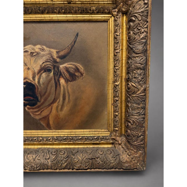 Wood Attr Rosa Bonheur (French, 1822 - 1899) "Portrait of a Highland Bull" W Findley For Sale - Image 7 of 11
