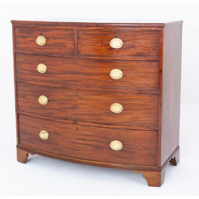 Wood Antique Regency Chest Drawers, 1810 For Sale - Image 7 of 7