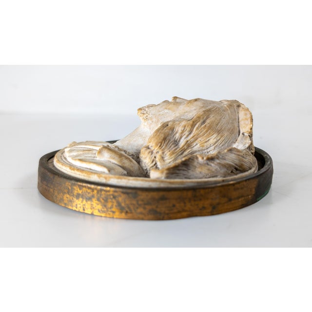 19th Century French Renaissance Revival Distressed Plaster Medallion of a Male Figure For Sale - Image 9 of 10