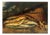 Hl Rolfe, Still Life with Fish, 1800s, Oil on Canvas For Sale