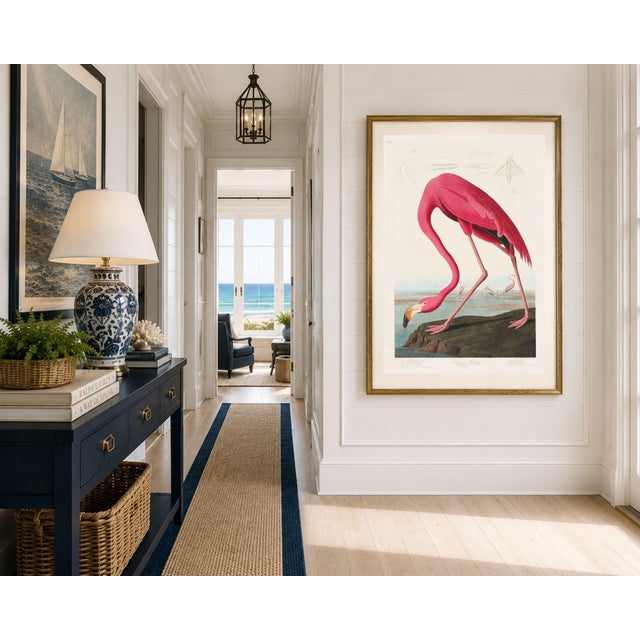 Pink Flamingo (Audubon, Birds of America), Vintage Art Print Reproduction, 32" X 48" For Sale - Image 9 of 12