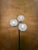 Mid-Century Modern Floor Lamp from Maison Lunel, France, 1950 For Sale - Image 3 of 12