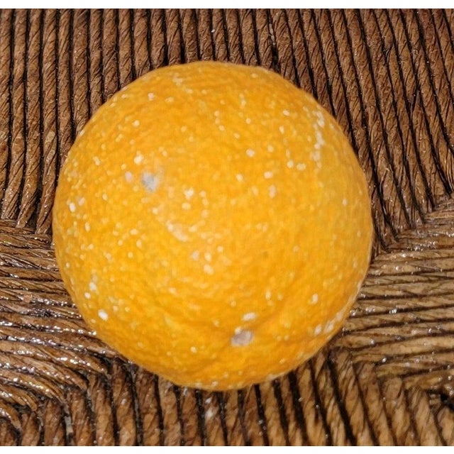 Late 19th Century Wooden Footed Bowl W/26 Stone Fruits For Sale In Los Angeles - Image 6 of 14