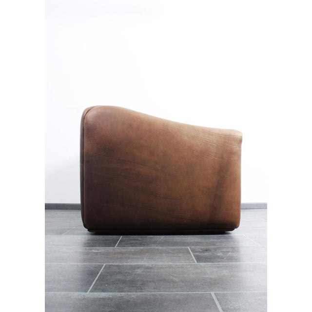 Brown DS47 2-Seater Sofa in Leather from de Sede, 1970s For Sale - Image 8 of 18
