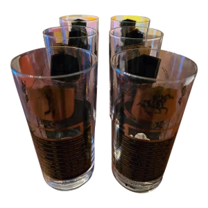 Mid Century Vintage Sports Champions Glasses Barware- Set of 6