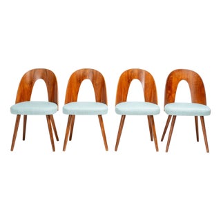 Dining Chairs by Antonín Šuman for Tatra Furniture, Czechoslovakia, 1960s, Set of 4 For Sale