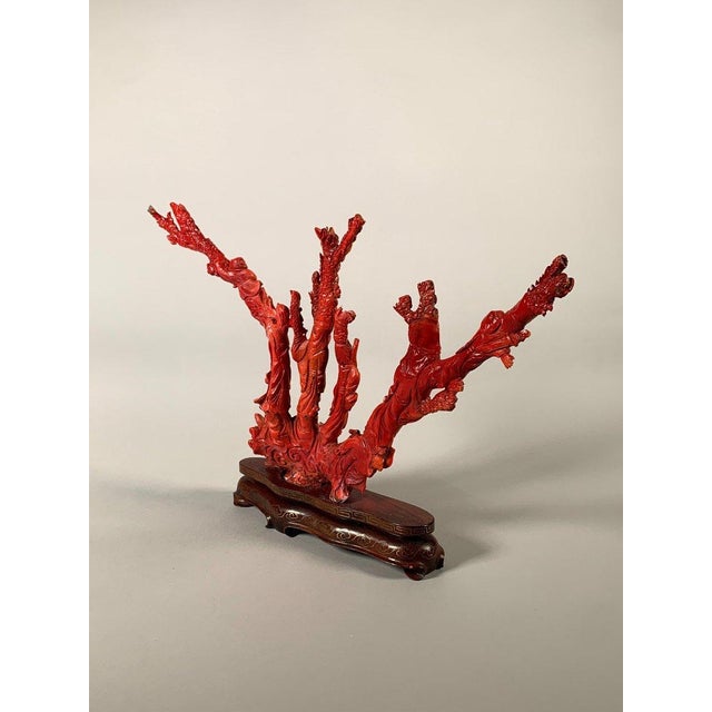 Large Coral Sculpture, China, Early 20th Century For Sale - Image 12 of 12