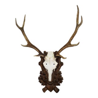 Large Black Forest Deer Trophy on Carved Plaque - Germany Circa 1900 For Sale
