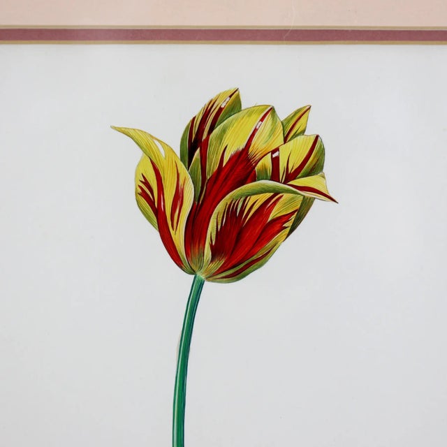 Traditional Vintage Hand-Painted Plant Specimen Watercolor Tulip Specimen (With Frame). Signed in the Lower Right Corner For Sale - Image 3 of 11