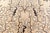 1930s Chinese Botanic Wool Rug Doris Leslie Blau Size: 7'0" × 9'8" (213 × 294 cm) A beautifully preserved example of early...