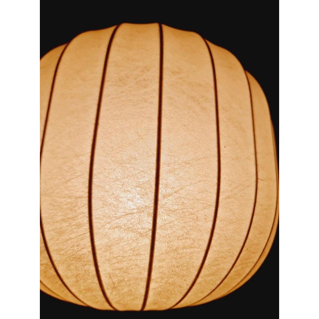 Mid-Century Cocoon Teak and Brass Table Lamp from Vereinigte Werkstätten Munich, 1960s For Sale - Image 4 of 12