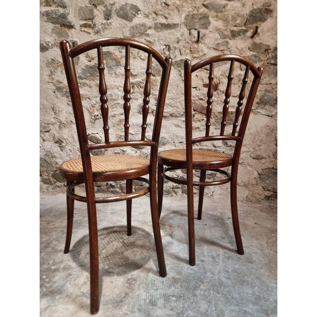 Antique Vienna Bentwood Chairs by Jacob & Josef Kohn, Austria, 1930s, Set of 2 For Sale - Image 11 of 18