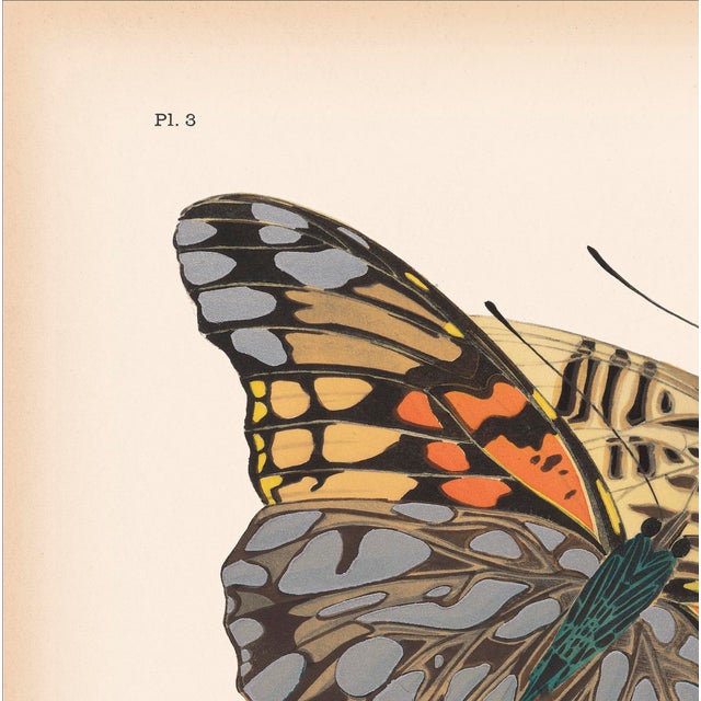 We are thrilled to present the exquisite Séguy Butterfly #03, available exclusively on Chairish, in the standard...