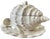 1980s Vintage White Ceramic Conch Shell Soup Tureen With Underplate & Ladle - Set of 3 For Sale - Image 5 of 12