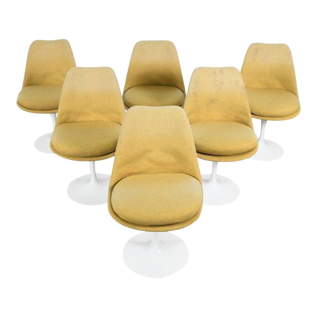 Mid 20th Century Set of Six Eero Saarinen Tulip Dining Chairs For Sale