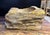 Modern Organic Petrified Wood Single Sink in Grey/ Brown & Yellow Tones For Sale - Image 3 of 8