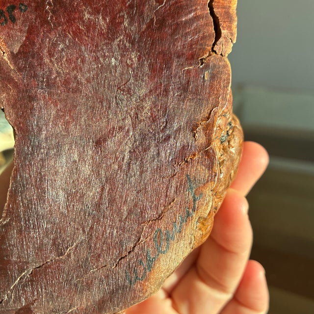 Wood 1980s Bruce Stamp Signed and Dated Walnut Carving of a Pelican on Wood. For Sale - Image 7 of 8