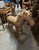 Wood Oversized Vintage Wicker Children's Rocking Horse For Sale - Image 7 of 11