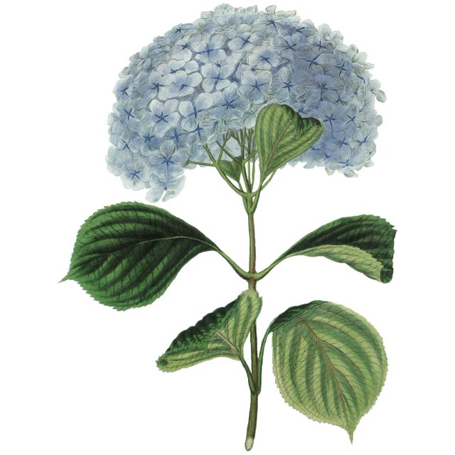 Ox Bow Decor Hydrangea Linen Accent Pillow For Sale - Image 4 of 4