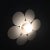 2-Light Daisy Pendant, 1970s For Sale - Image 3 of 8