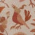 2020s Schumacher x Abel Macias Canopy Fabric In Terracotta For Sale - Image 5 of 6