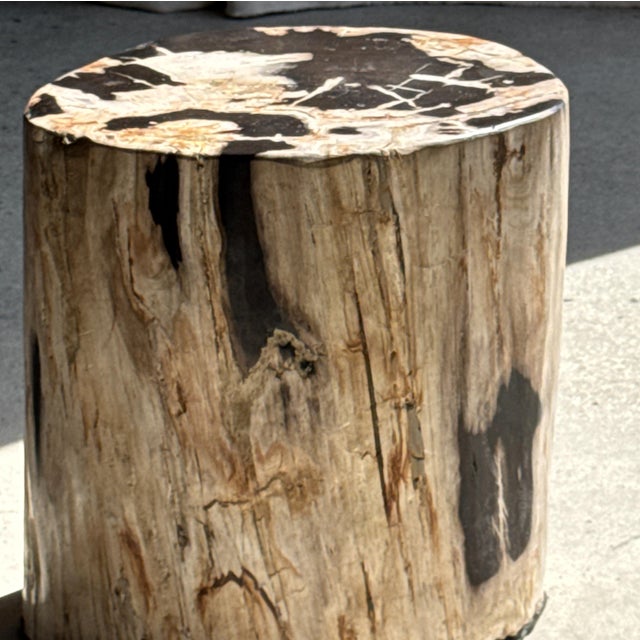 Stone Side Table in Petrified Wood with Black Spots, 1980s For Sale - Image 7 of 18