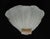 Italian 1960s Murano Shell Sconce With Pink Curl, a Pair For Sale - Image 3 of 10