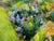 Garden Landscape + Fence Acrylic on Canvas, Unknown Artist. For Sale - Image 4 of 12