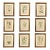 Antique Group of Nine Hand Colored Botanical Prints For Sale