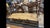 Provençal-Style Bench in Walnut For Sale - Image 5 of 6