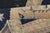 Navy Blue Vintage Turkish Oushak Rug With Beige Field and Navy Blue Accents 2 X 3 For Sale - Image 8 of 8