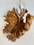 1970s Organic Modern Burl Wood Sculptural Double Oil Lamp Centerpiece For Sale - Image 11 of 11