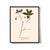 Antique Botanical Set in Oxblood - Set of 8 11" X 14" For Sale - Image 9 of 12
